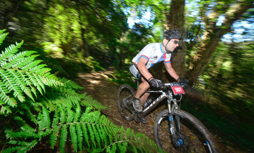Cape_Pioneer_MTB.jpg